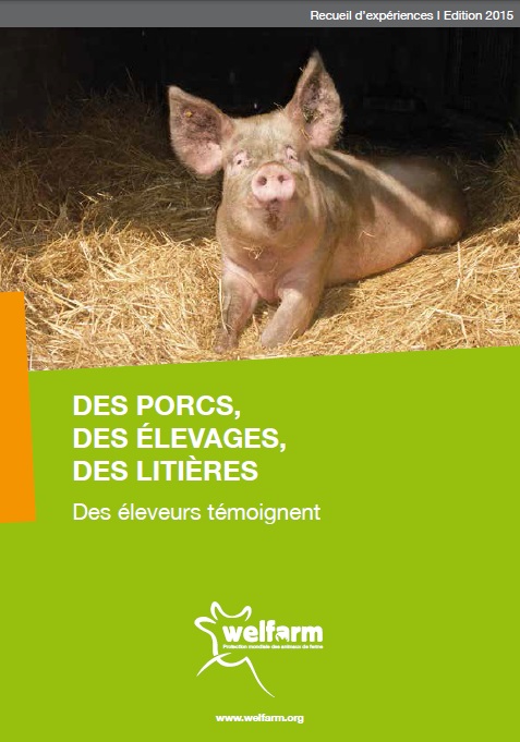 Des porcs, des élevages, des litières : une nouvelle publication de WELFARM